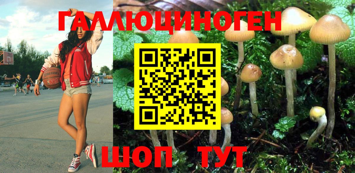 Галлюциногенные грибы Psilocybine cubensis Чебоксары